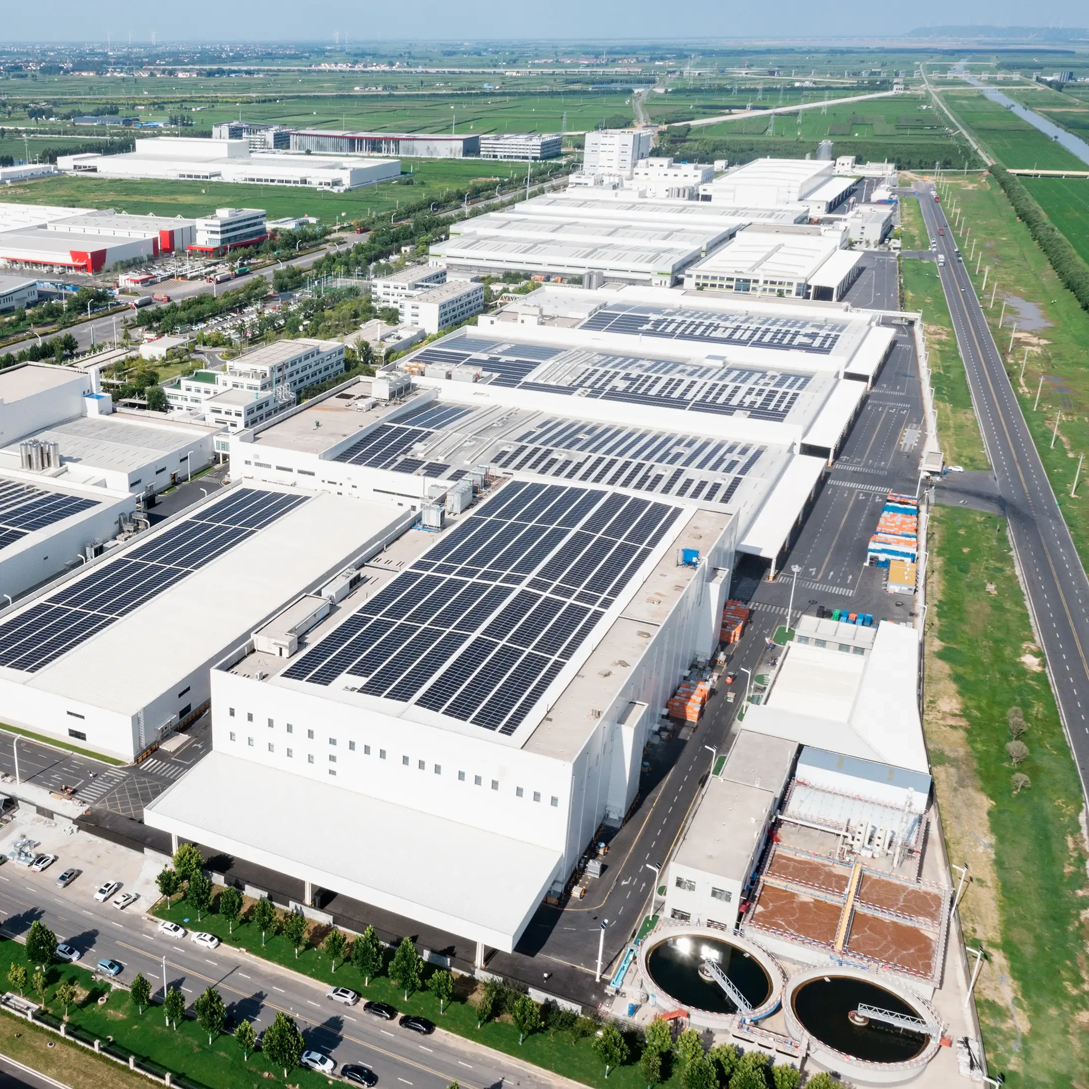 D,CO International Food Co.,Ltd.