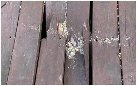 decking