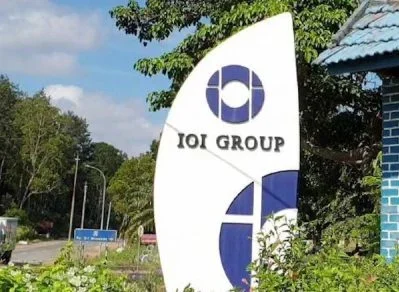 IOI 主要优势与区域竞争者结构差异的关键分析表