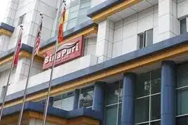 Bina Puri