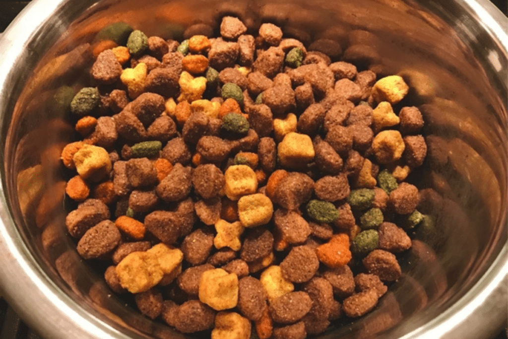 捐款帮助流浪狗