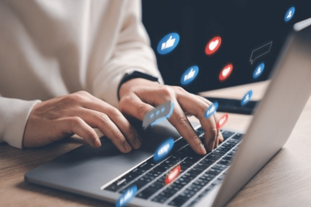 如何帮助流浪狗