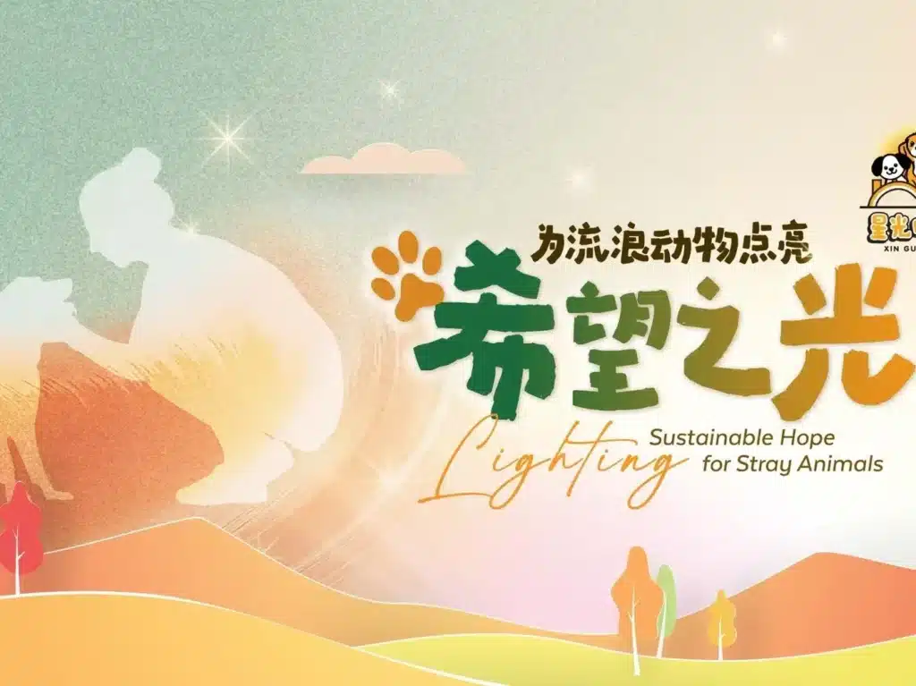 捐款帮助流浪狗